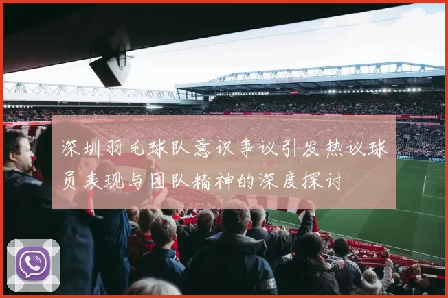 深圳羽毛球队意识争议引发热议球员表现与团队精神的深度探讨