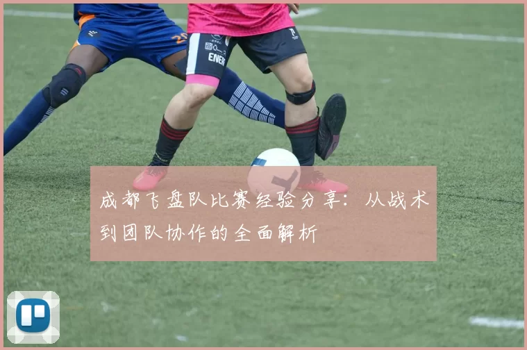 成都飞盘队比赛经验分享：从战术到团队协作的全面解析