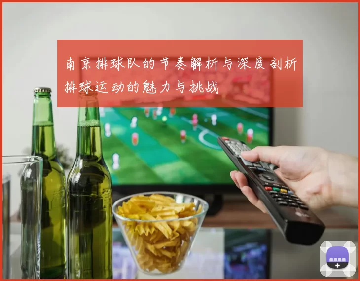 南京排球队的节奏解析与深度剖析排球运动的魅力与挑战