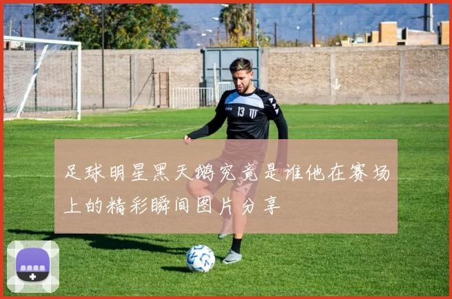 足球明星黑天鹅究竟是谁他在赛场上的精彩瞬间图片分享