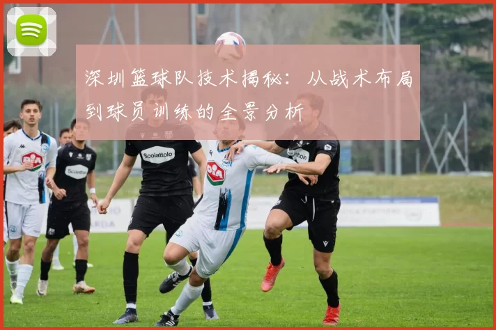 深圳篮球队技术揭秘：从战术布局到球员训练的全景分析