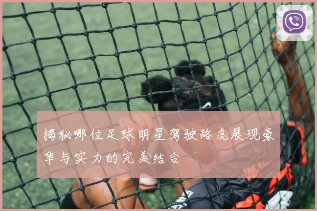 揭秘哪位足球明星驾驶路虎展现豪华与实力的完美结合