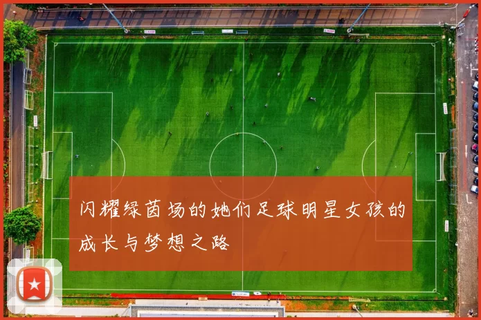 闪耀绿茵场的她们足球明星女孩的成长与梦想之路