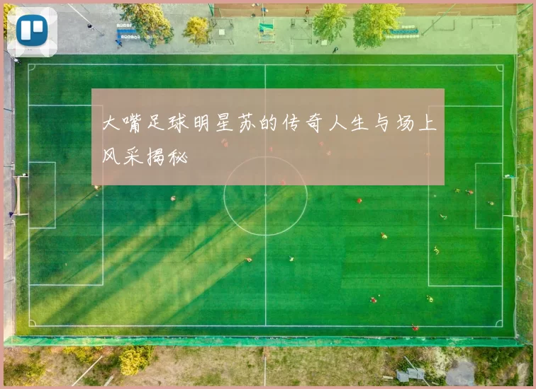 大嘴足球明星苏的传奇人生与场上风采揭秘