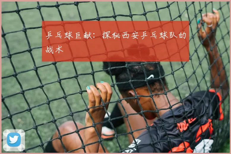 乒乓球巨献：探秘西安乒乓球队的战术