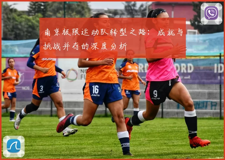 南京极限运动队转型之路：成就与挑战并存的深度分析
