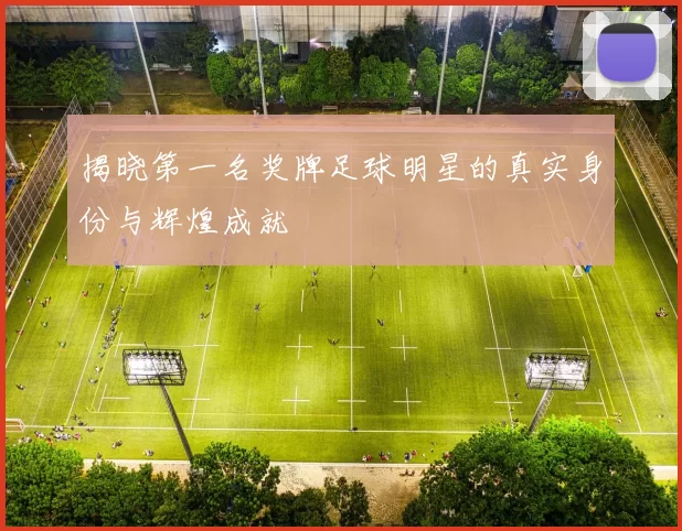 揭晓第一名奖牌足球明星的真实身份与辉煌成就