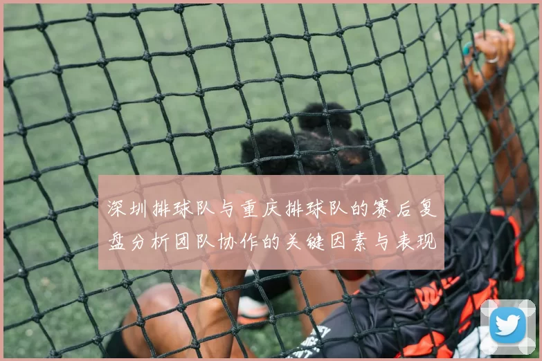 深圳排球队与重庆排球队的赛后复盘分析团队协作的关键因素与表现