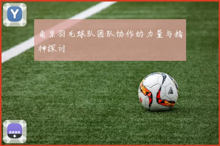 南京羽毛球队团队协作的力量与精神探讨