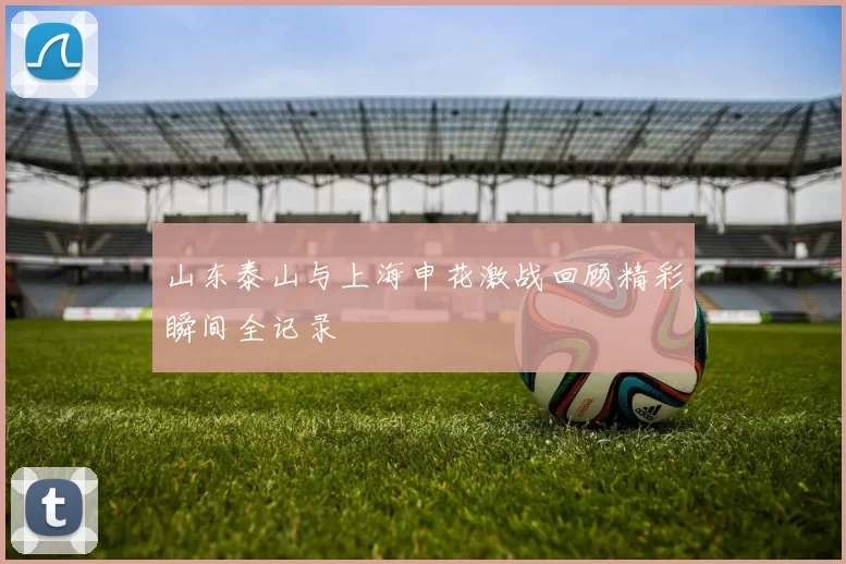 山东泰山与上海申花激战回顾精彩瞬间全记录